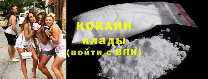 дарк нет как зайти  Горбатов  COCAIN Fish Scale 